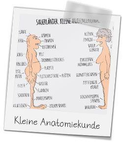 Mini-Poster Sauerländer Anatomiekunde